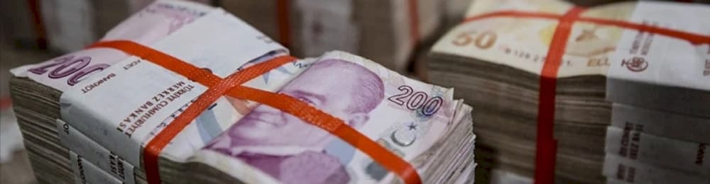 Anonim ve Limited Şirketlerde Asgari Sermaye Tutarları Artırılmıştır